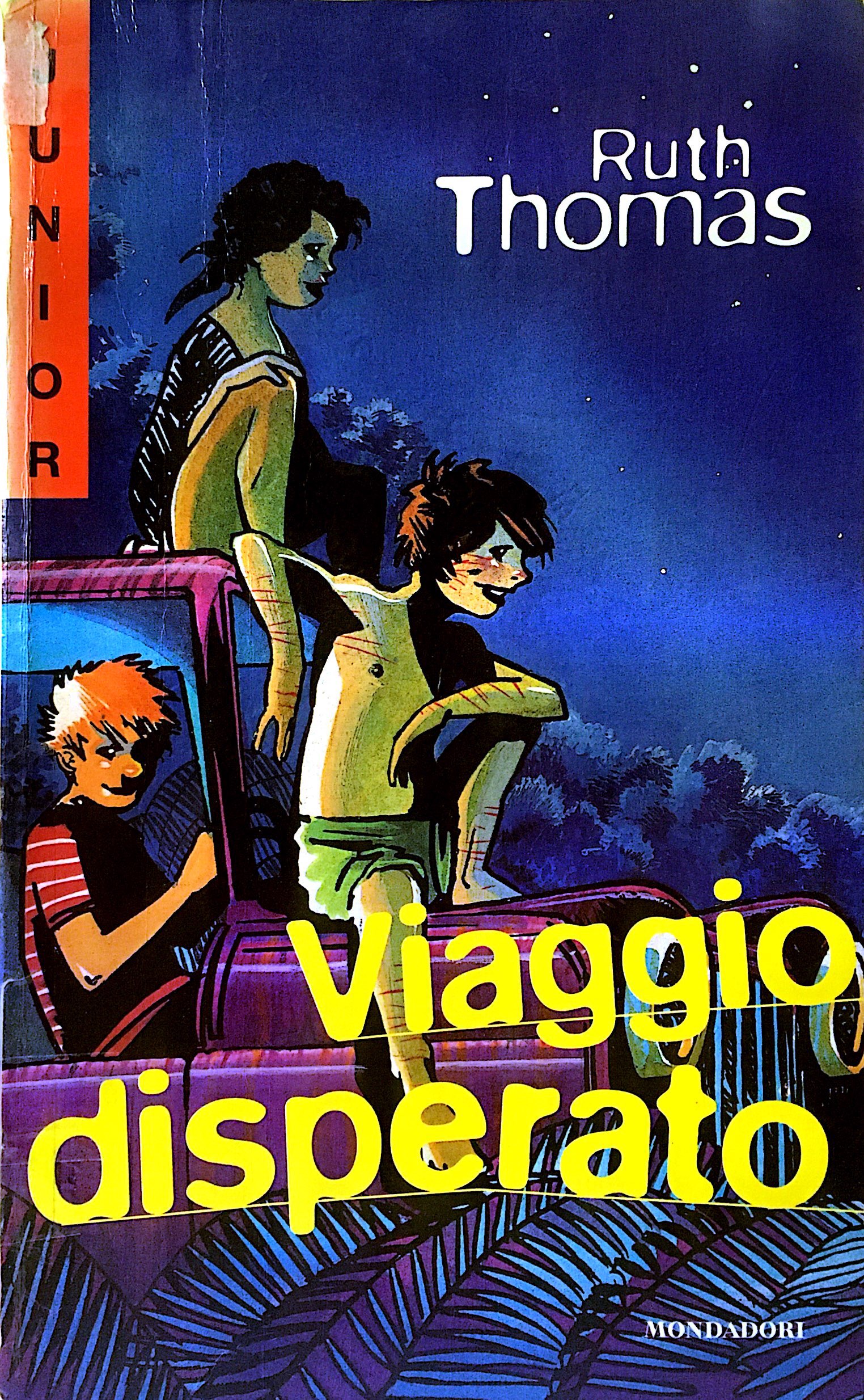 VIAGGIO DISPERATO